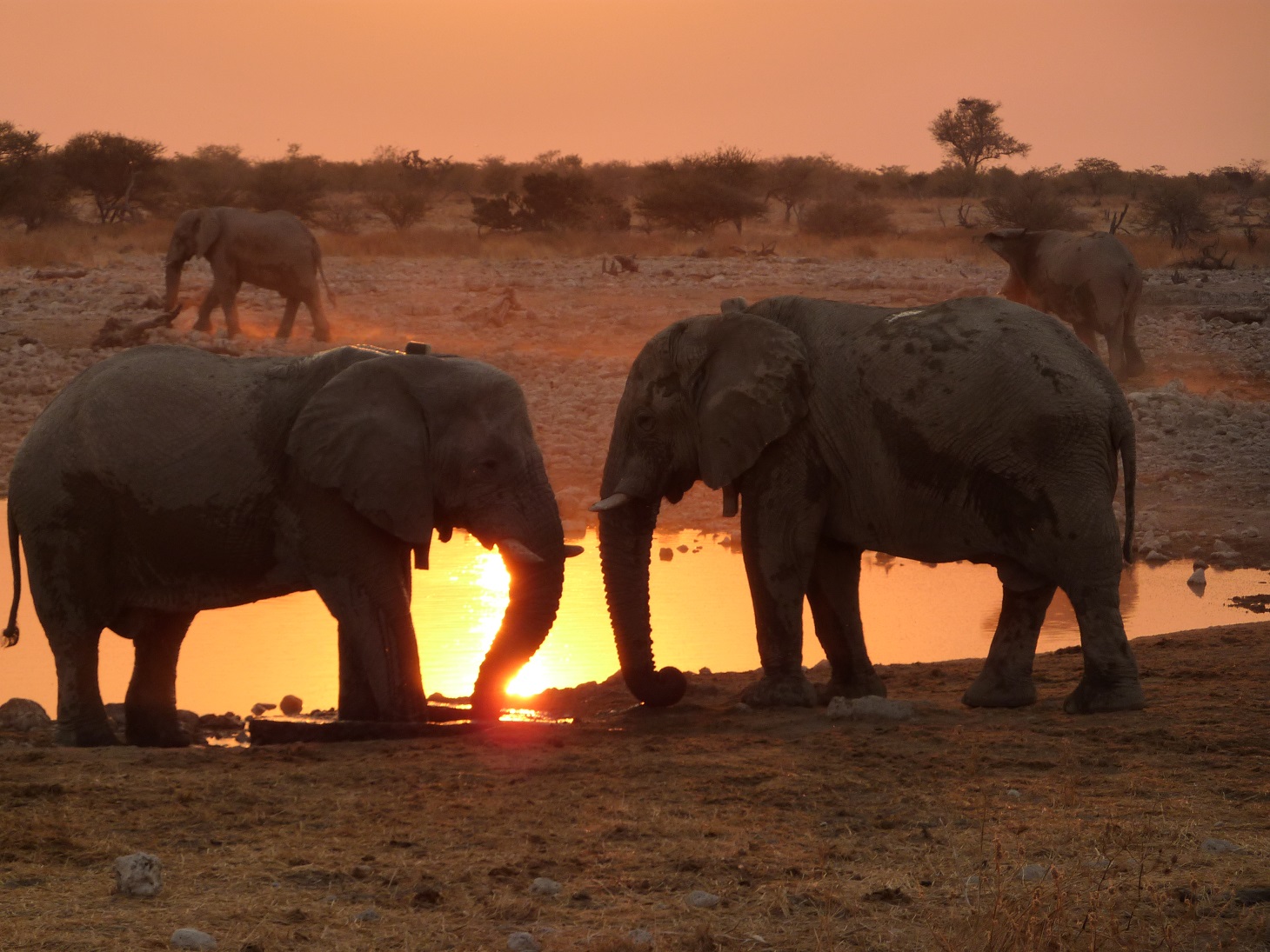 tour-namibia-del-nord-safari