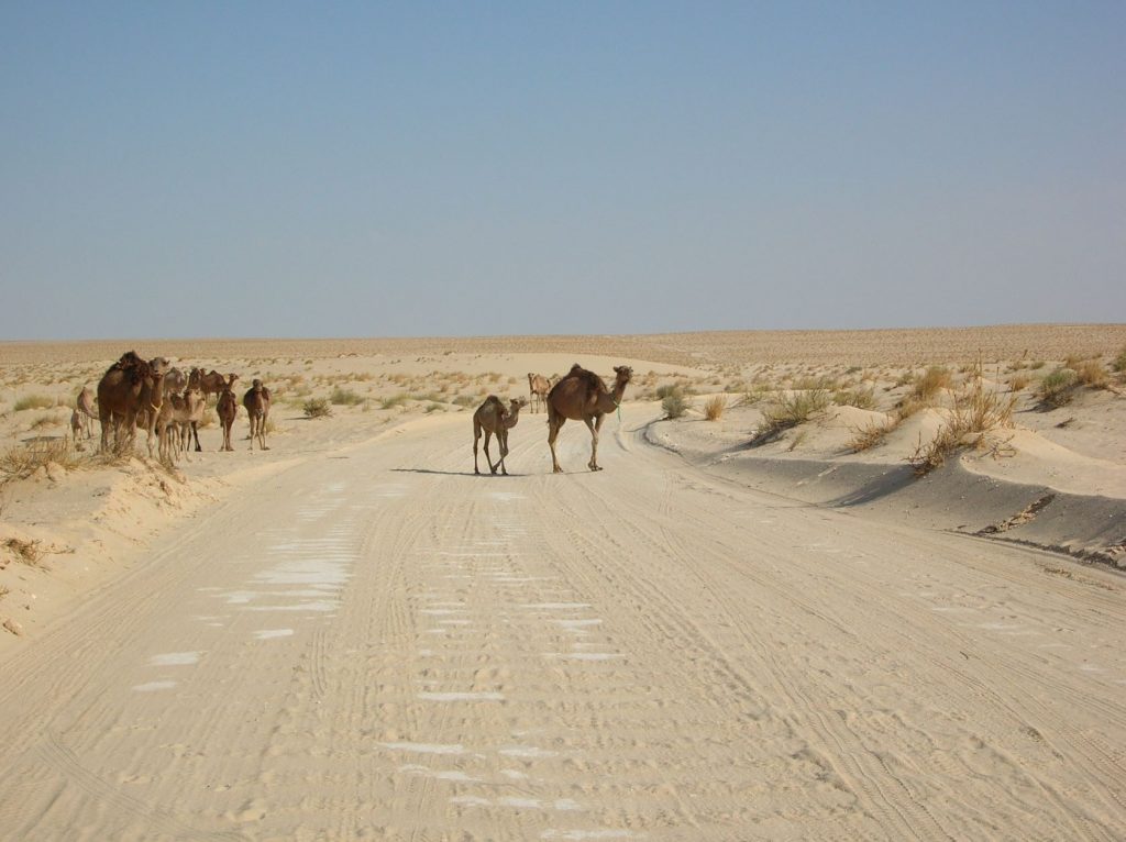 tunisia deserto sahara