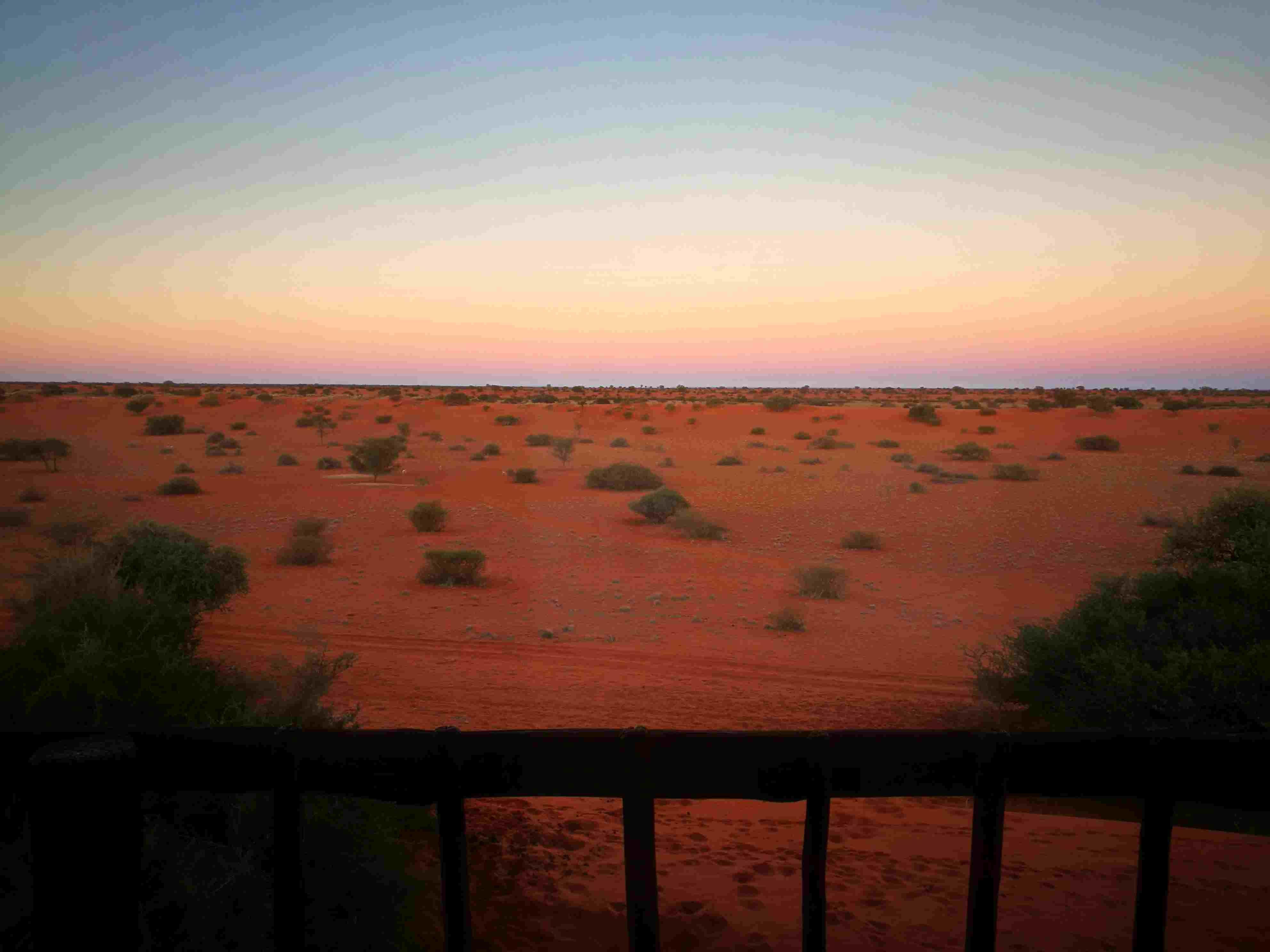 namibia viaggio kalahari