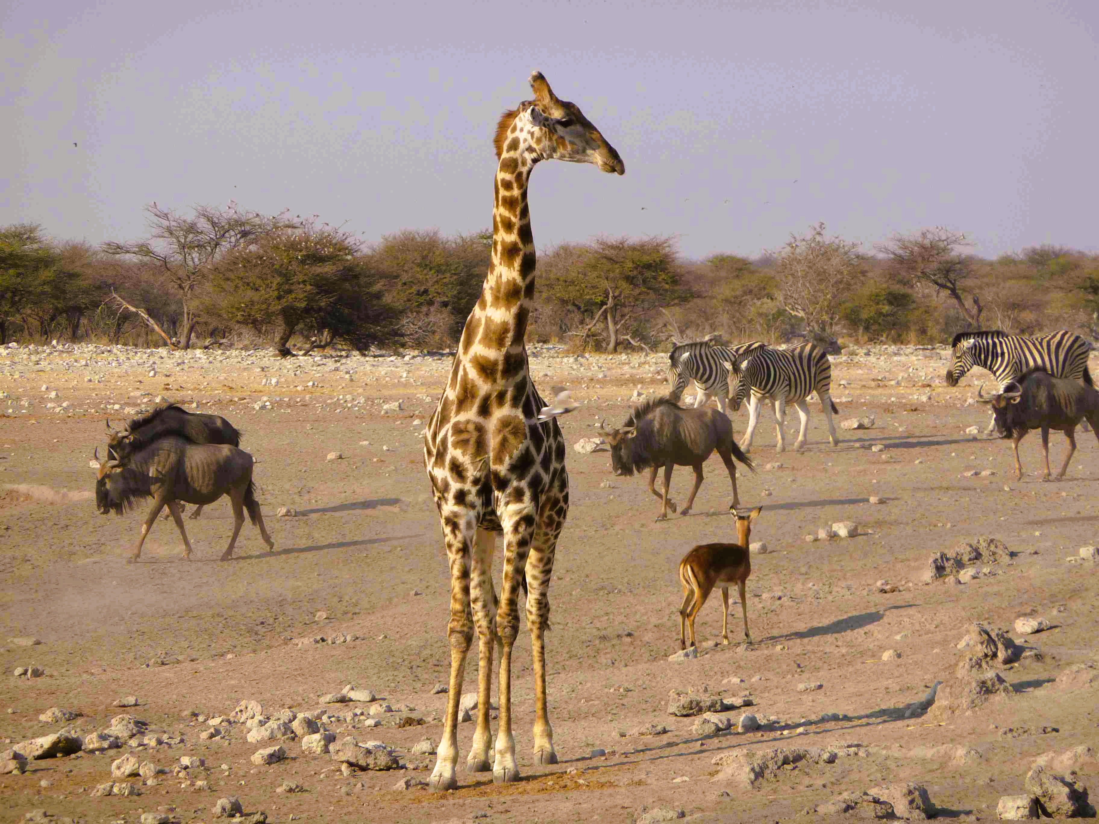 viaggio in namibia 2 settimane