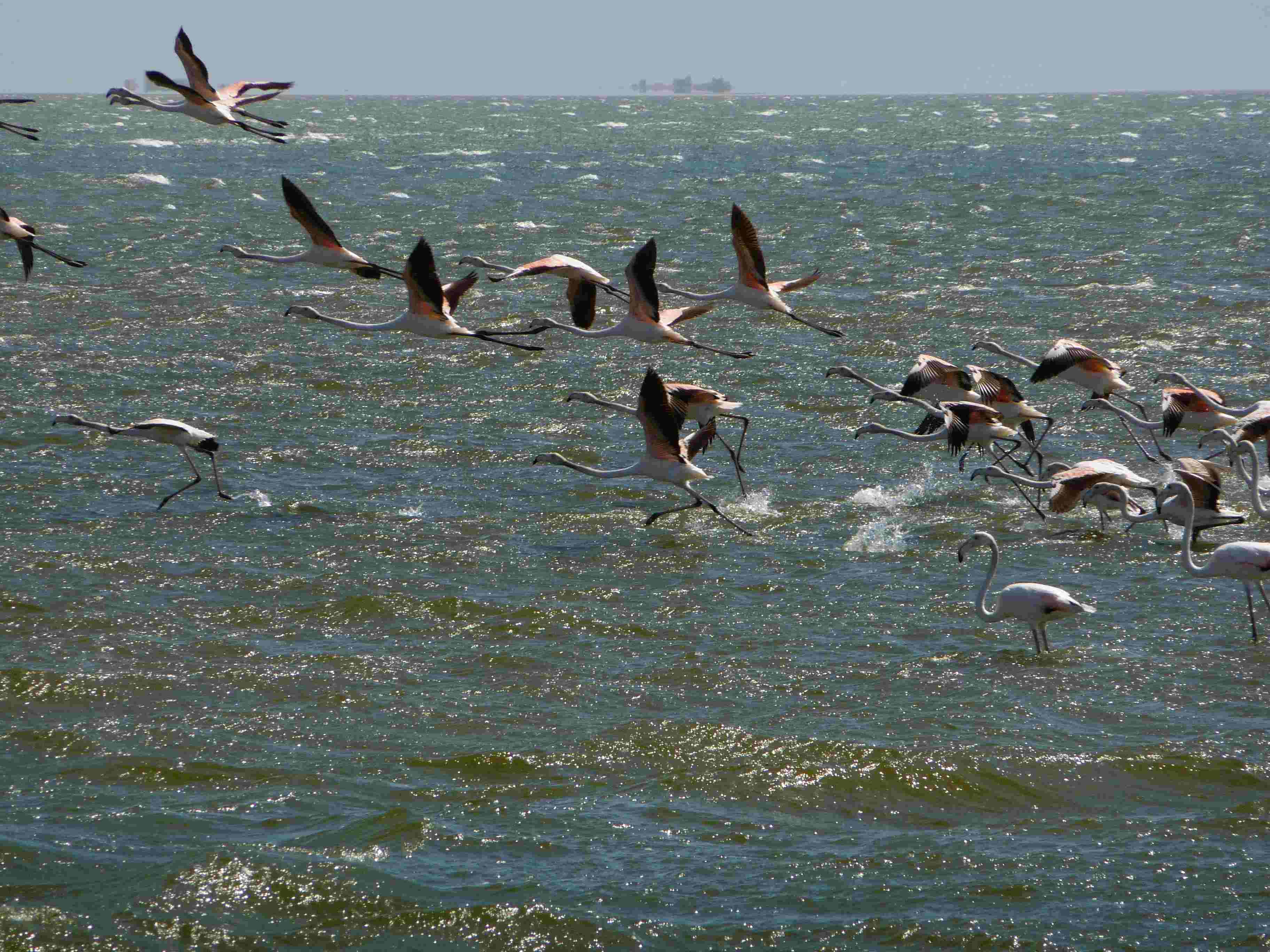 walvis bay
