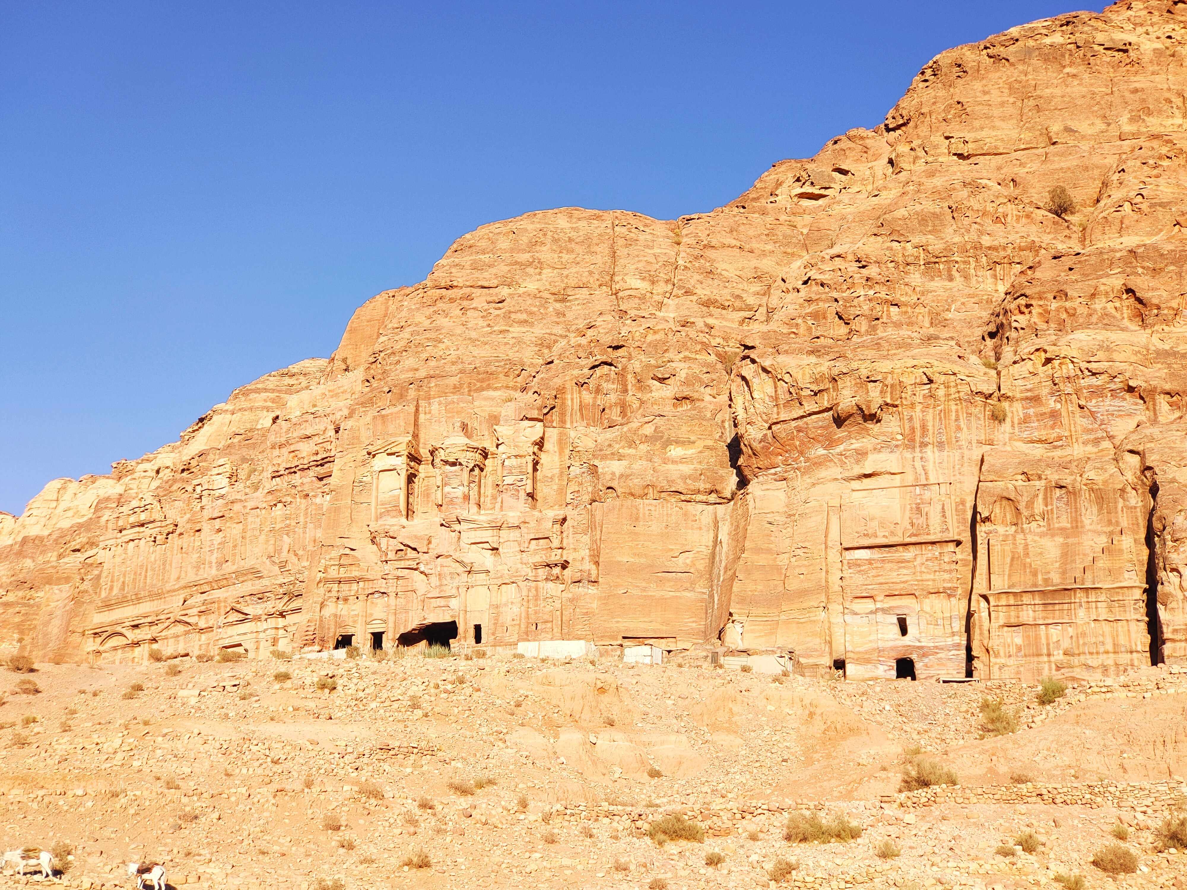 tour giordania petra