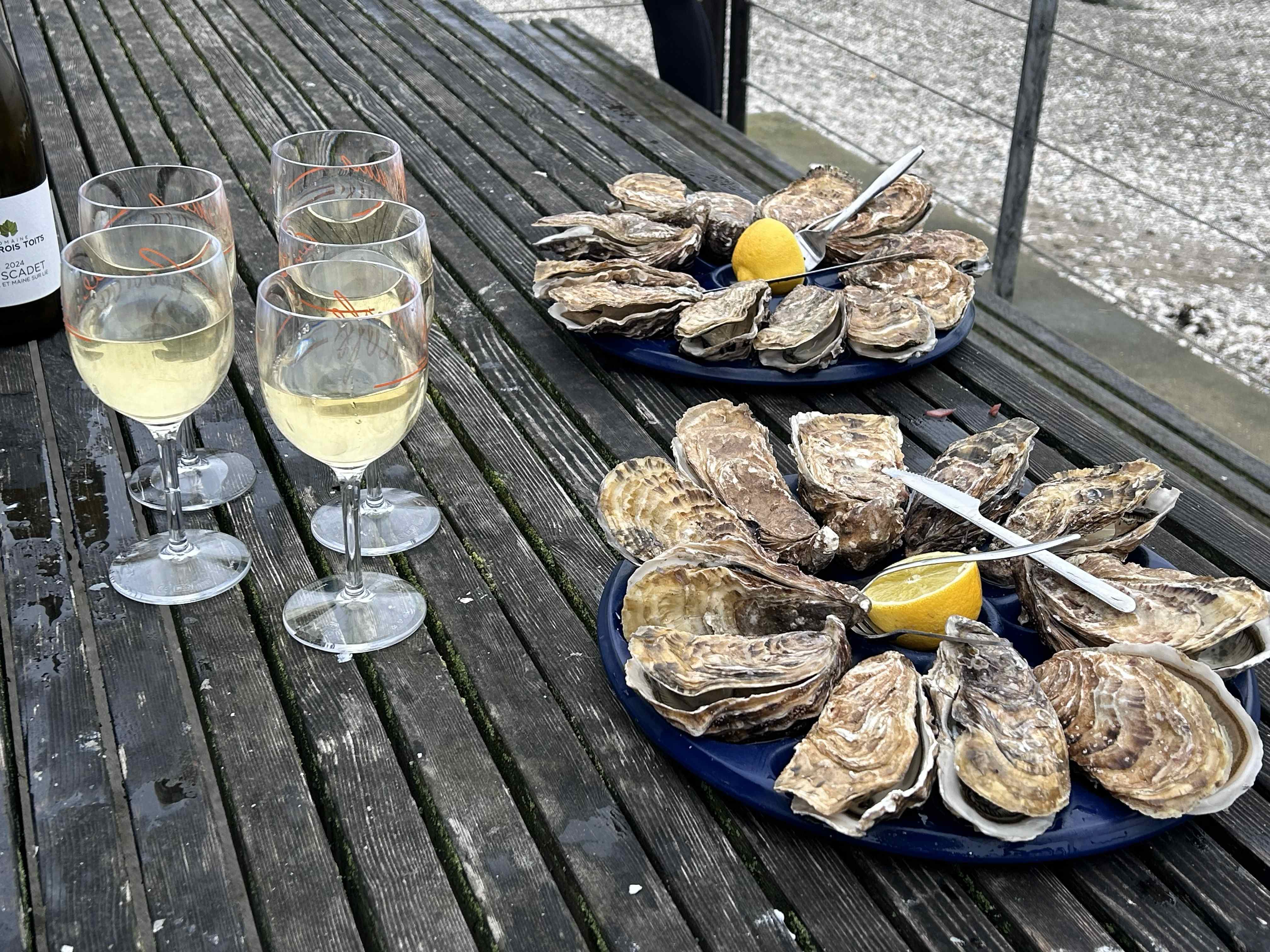 ostriche cancale bretagna